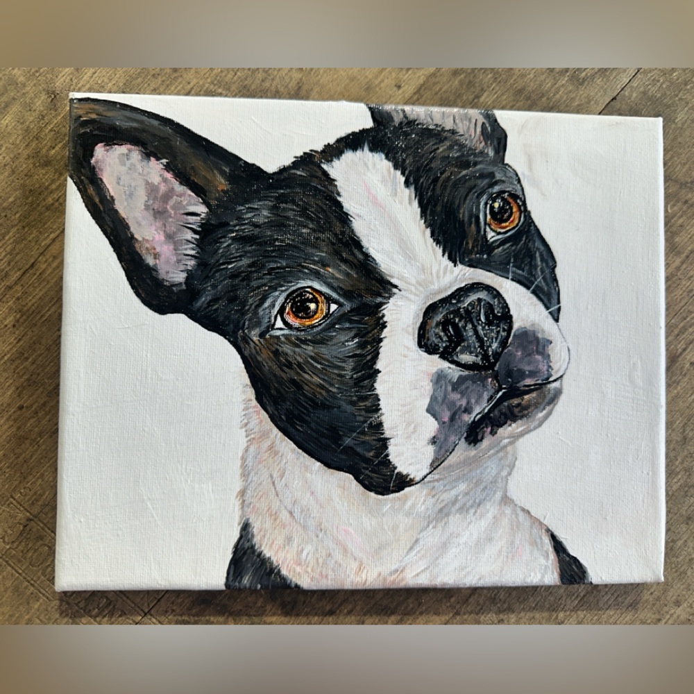 RIKKISRATPACK Custom paintings of Boston Terriers